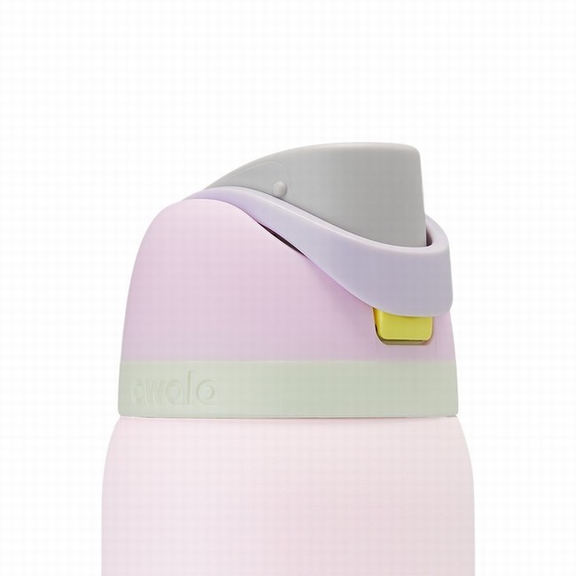owala 32oz freesip waterflessen roze